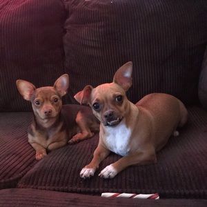 Meet your Posher, Suzanne